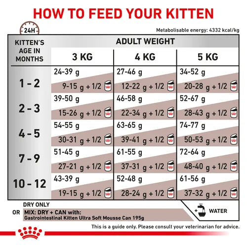 Royal Canin - Feline Gastro Intestinal Kitten