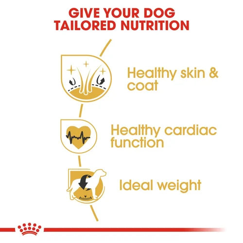 Royal Canin - Golden Retriever Adult Dry Food 12kg