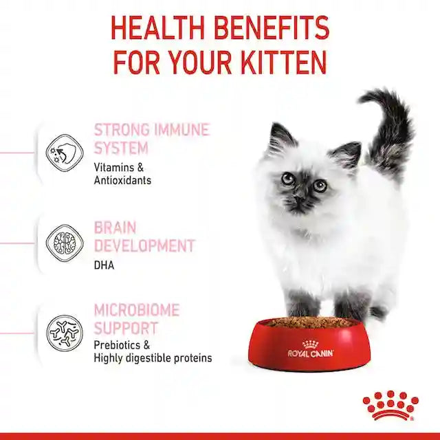 Royal Canin - Kitten Dry Food (up to 12 months old)