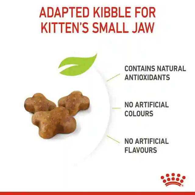 Royal Canin - Kitten Dry Food (up to 12 months old)