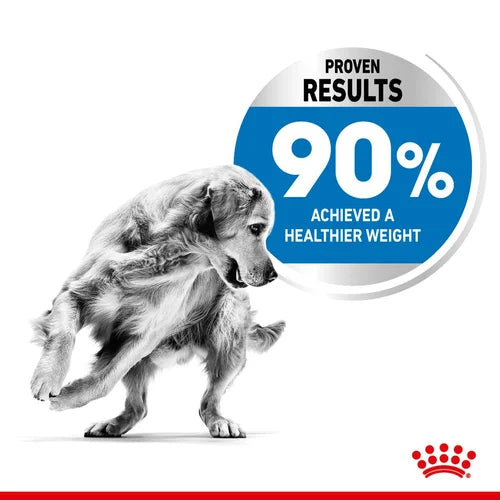 Royal Canin - Medium Light Weight Care Dog Dry Food 12kg