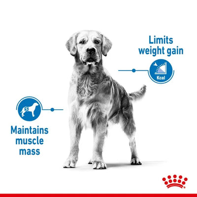 Royal Canin - Medium Light Weight Care Dog Dry Food 12kg