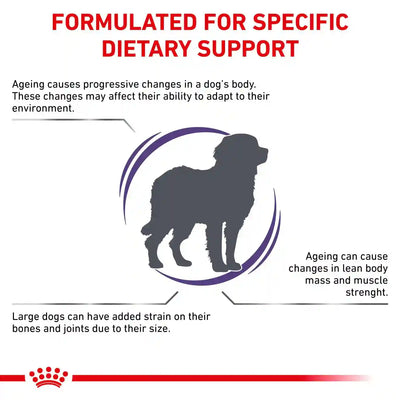Royal Canin - Mature Large Dog 14kg