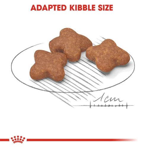 Royal Canin - Mini Adult 8+ Dogs Dry Food
