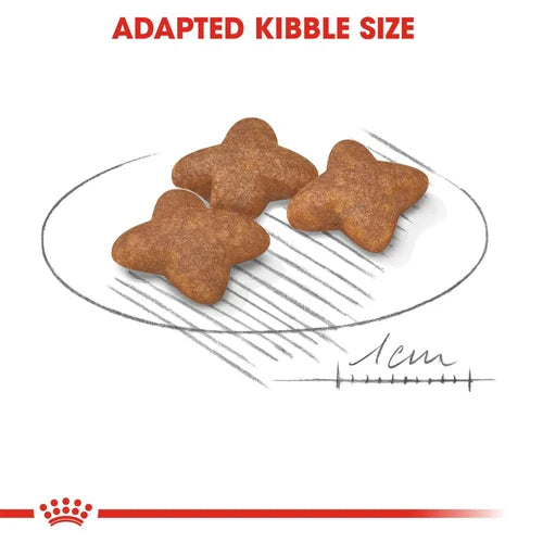 Royal Canin - Mini Adult Dogs Dry Food