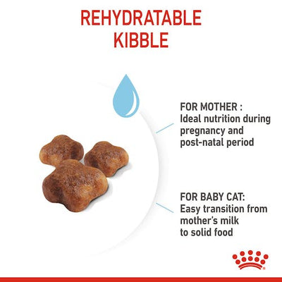 Royal Canin - Mother & Babycat Dry Food (1-4 Months)