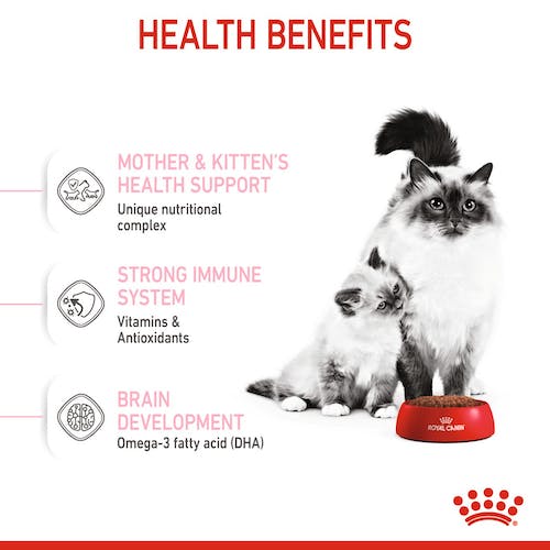 Royal Canin - Mother & Babycat Dry Food (1-4 Months)