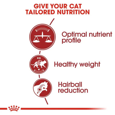 Royal Canin - Regular Fit Cat Dry Food