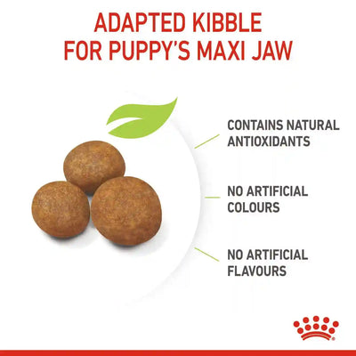 Royal Canin - Puppy MAXI Dry Food