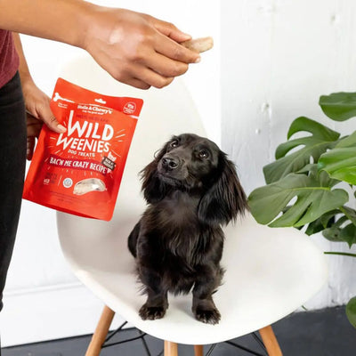 Stella & Chewy's Freeze-Dried Raw Wild Weenies Dog Treats - Bac'n Me Crazy Recipe 3oz