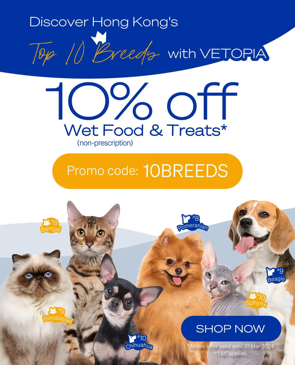 Pet medical sales supplies online