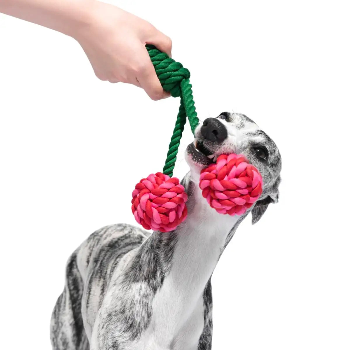 Vetreska - Cherry Knot Rope Toy