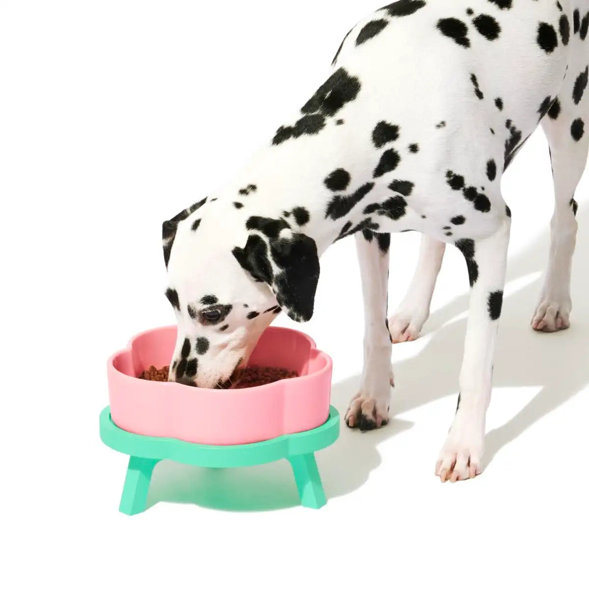 Vetreska - Flora Ceramic Pet Bowl