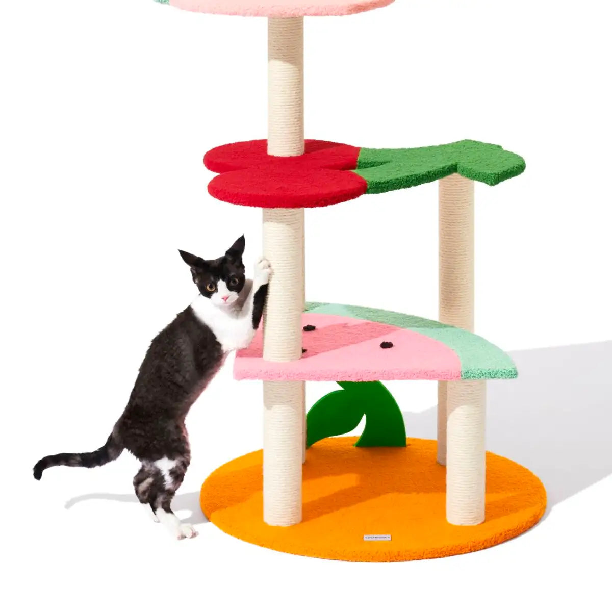 Vetreska - Fruit Frenzy Cat Climber
