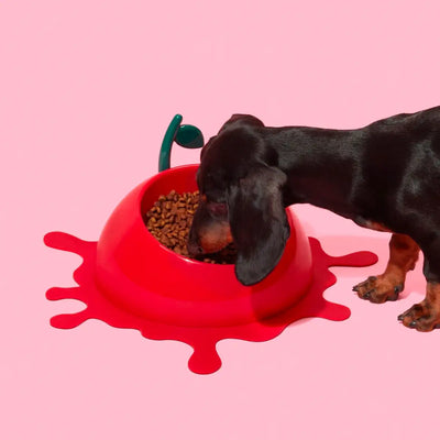 Vetreska - Juicy Cherry Pet Bowl, Spoon & Mat Set