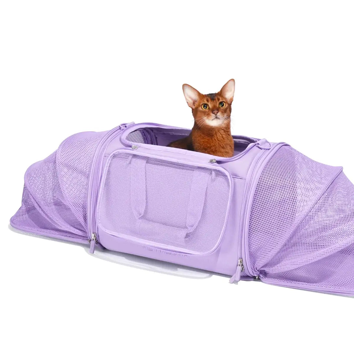 Vetreska Violet Voyage Pet Carrier Vetopia