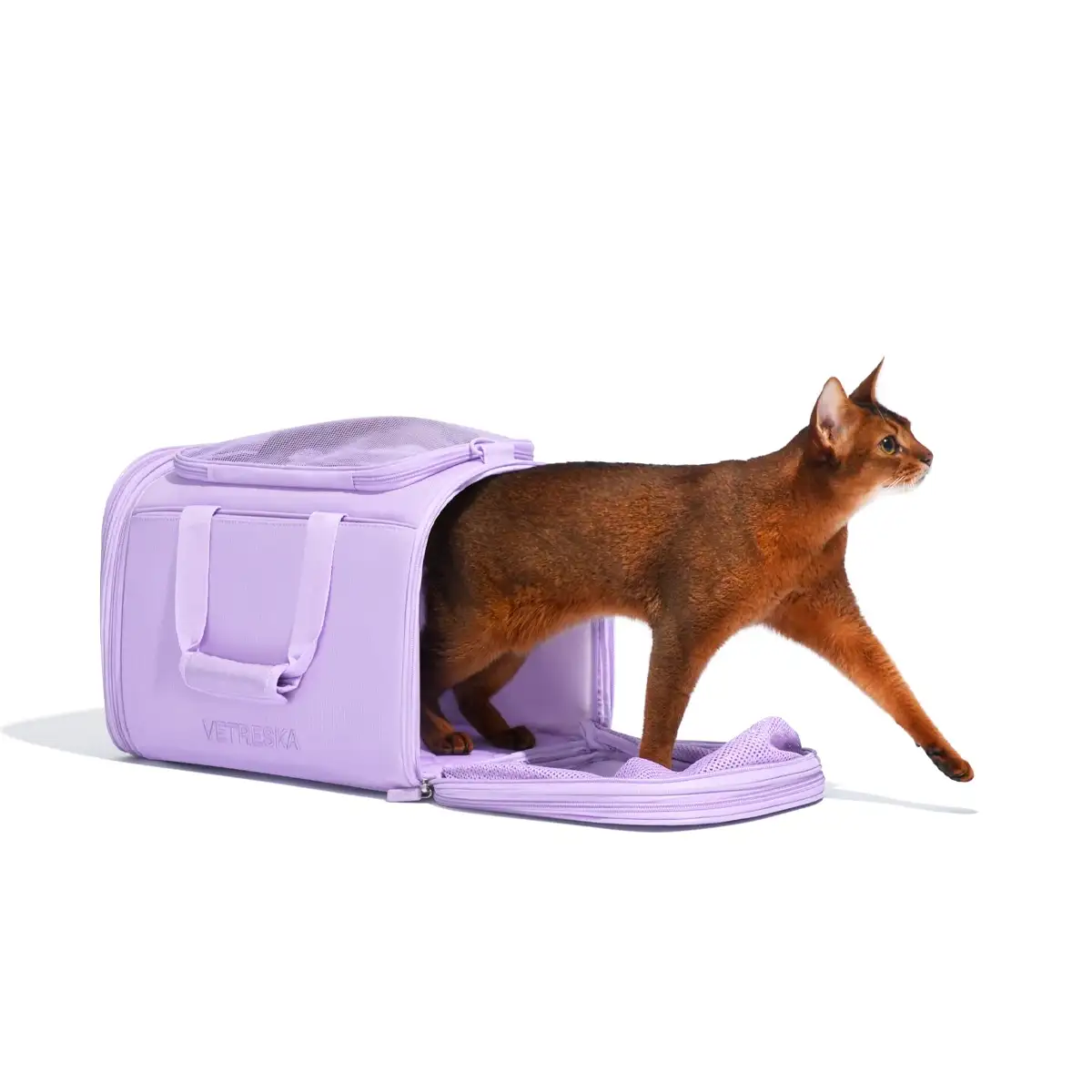 Vetreska Violet Voyage Pet Carrier Vetopia