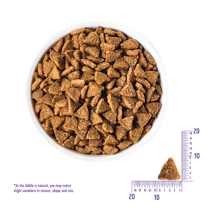 Wellness CORE Grain Free Small Breed Puppy Turkey & Chicken 4lb