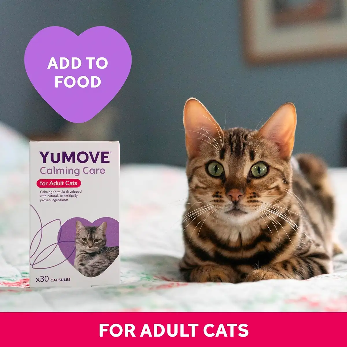 YuMove YuCalm Calming Care For Cats (30 capsules) Vetopia