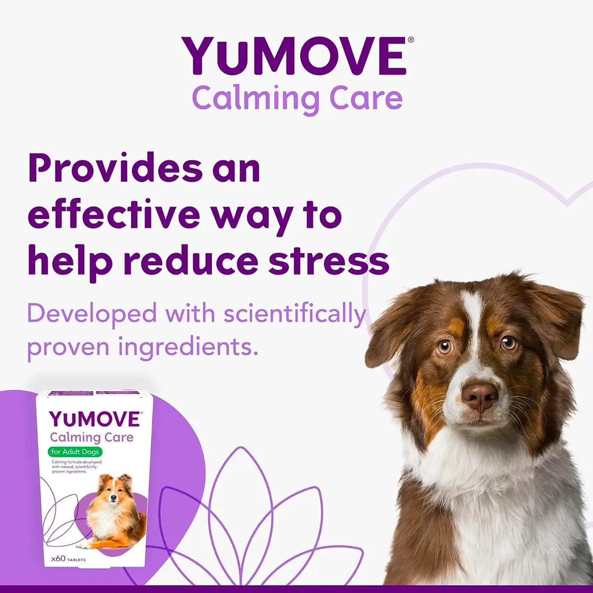 YuMove - YuCalm Calming Care For Dogs (60 tablets)