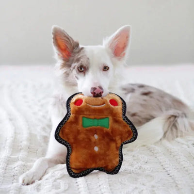 Zippypaws - Holiday Z-Stitch Gingerbread Man