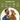 Nutravet | Nutracalm Stress & Anxiety Care For Pets