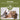 Nutravet | Nutracalm Stress & Anxiety Care For Pets