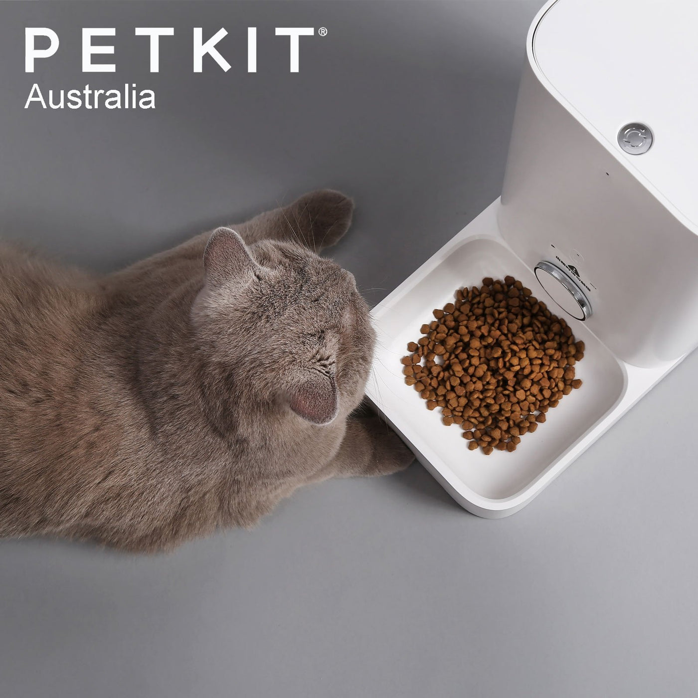 Petkit Fresh Element MINI Automatic Smart Programmable Food Feeder