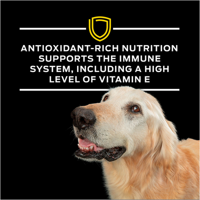 Purina Pro Plan Veterinary Diets - Canine NC NeuroCare 6lb