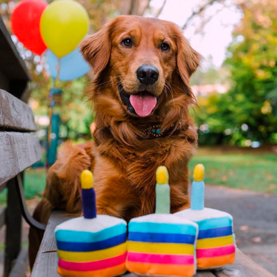 P.L.A.Y. -  Party Time - Bone-appetit Cake