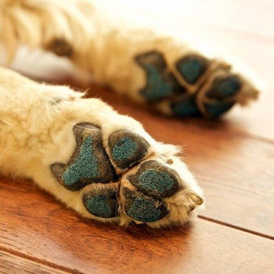 PawFriction