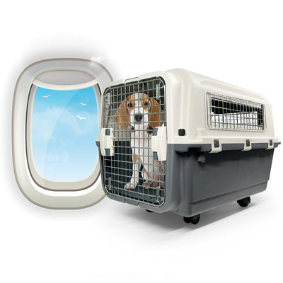 Animalkind - IATA Travel Kennel Vetopia Online Store