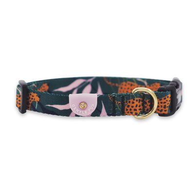 Gentle Pup - Dog Collar - Coco Congo