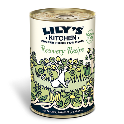 Lily's Kitchen - Wet Food For Dogs - Recovery Recipe 400g