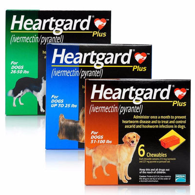 Heartgard Plus預防心絲蟲咀嚼配方