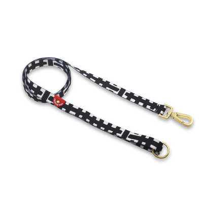 Gentle Pup - Dog Leash - Lucky Lotto