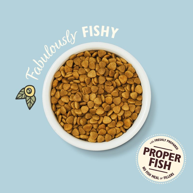 Lily's Kitchen - White Fish & Salmon Dry Cat Food - Vetopia