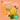 Lily‘s Kitchen 犬用小食 - 熱帶芒果塊 70克