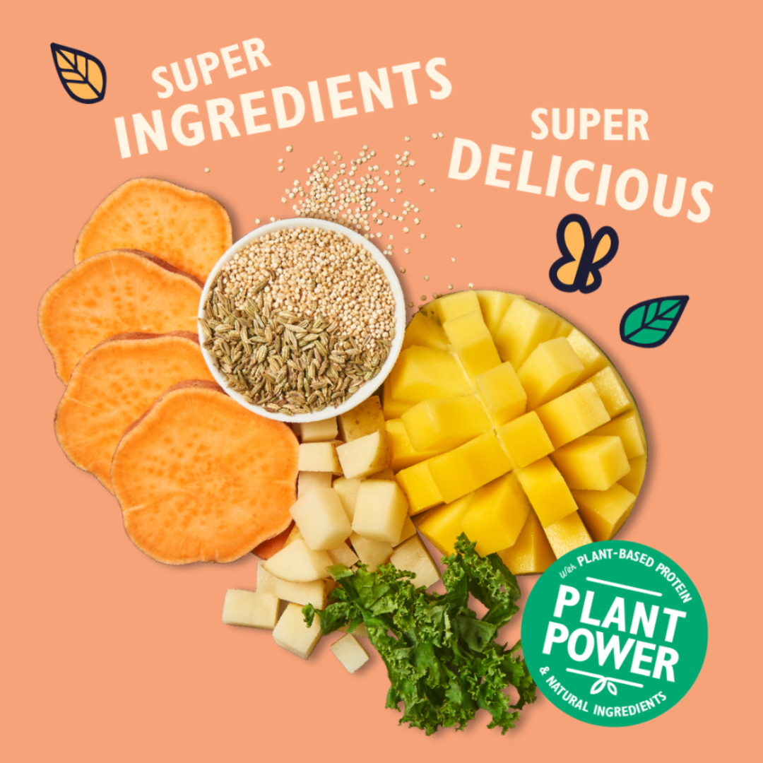 Lily's Kitchen Totally Tropical Mango Jerky 70g Vetopia