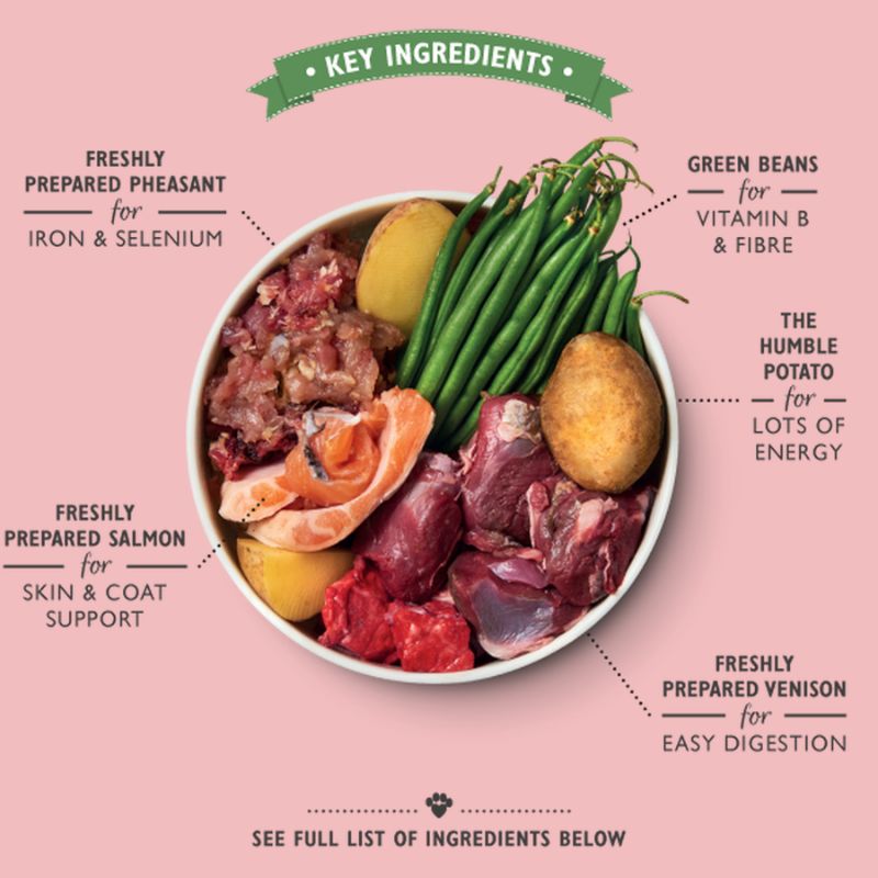 Lily's Kitchen Wet Food For Dogs Wild Campfire Stew Vetopia