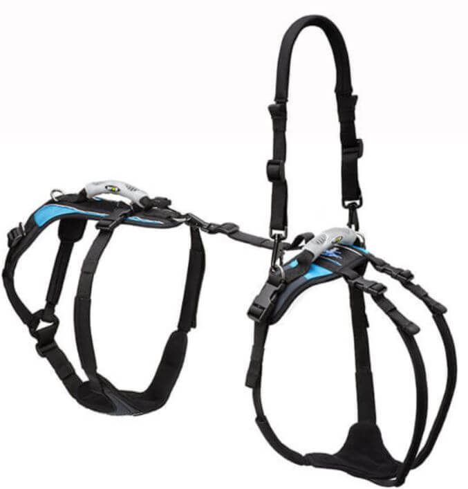 Dog Support Walking Accessories