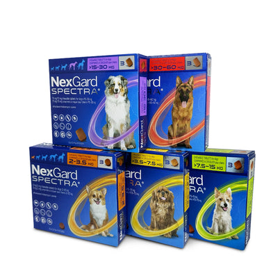 NexGard Spectra | Full Protection For Pets | Vetopia