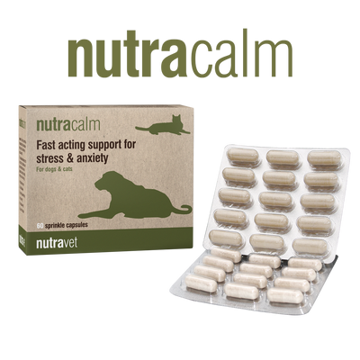 Nutravet | Nutracalm - Stress & Anxiety Pet Supplement | Vetopia