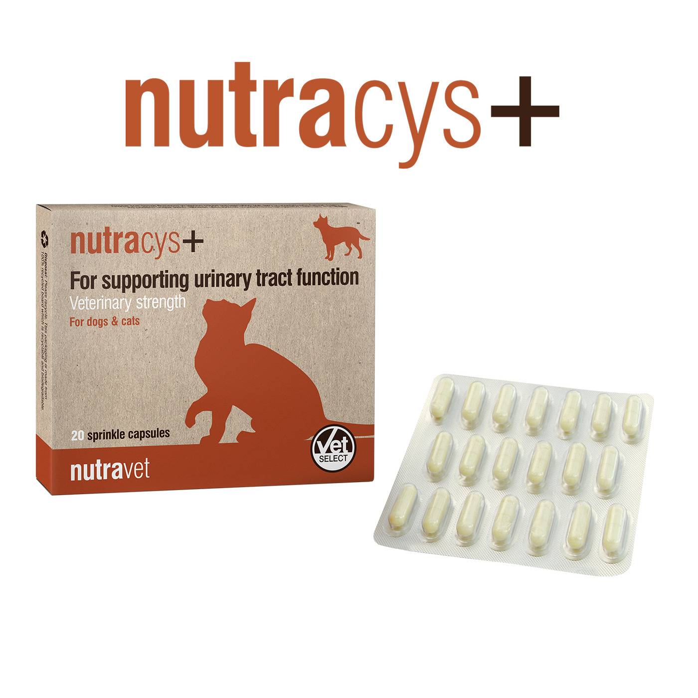 Nutravet - Nutracys+ 泌尿道功能營養膠囊 (貓狗合用) 220 粒