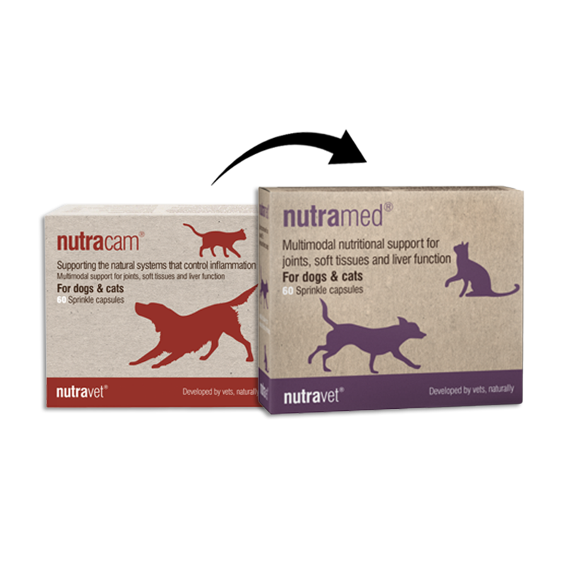 Nutravet - Nutramed - Control Inflammation Supplement for Dogs & Cats