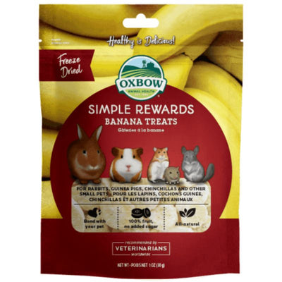 Oxbow Simple Rewards Banana Treats 1oz for Small Animals - Vetopia Online Store