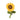 P.L.A.Y. -  Blooming Buddies - Sassy Sunflower