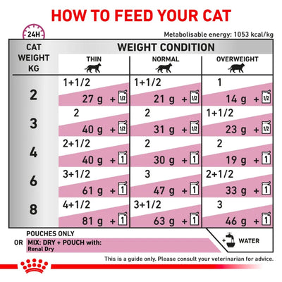 Royal Canin Veterinary Diet | Renal Loaf Pouch for Cats | Vetopia