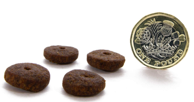 Canagan light senior dog Clearance