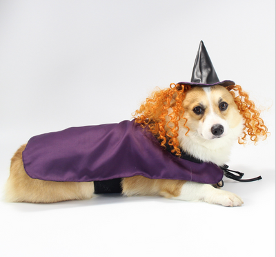 Vetopia Costume - Purple Witch